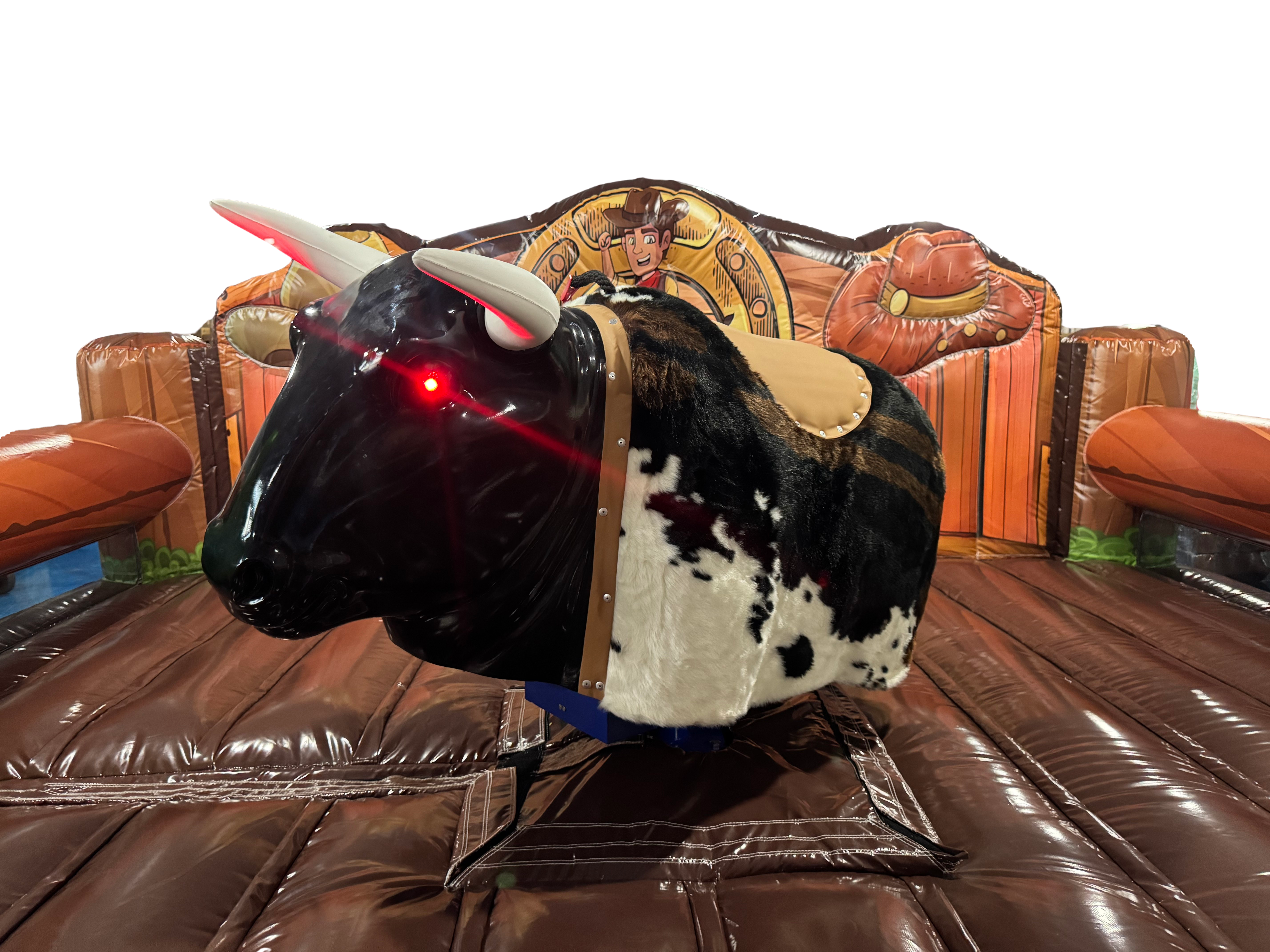 Rodeo-Bulle  - Optik 1