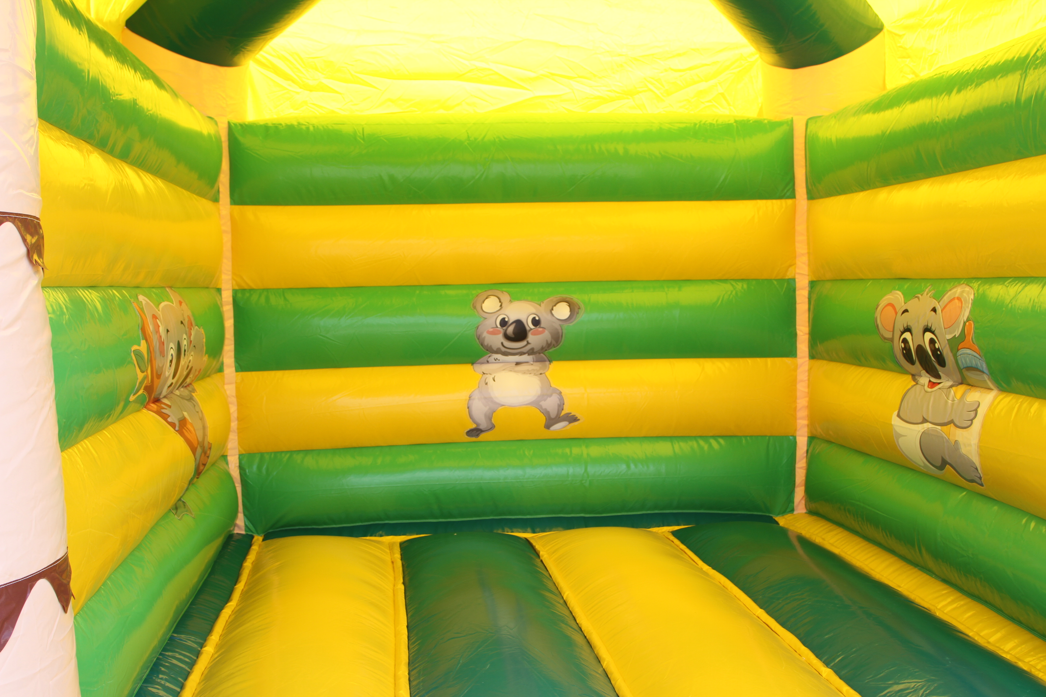 Hüpfburg 5x4 m - Koala